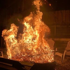 Meet your Posher, Jackson